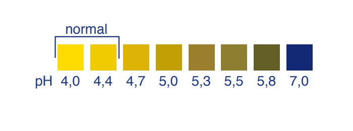 geratherm pH-balance test